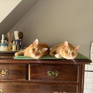 Meet your Posher, Margaret